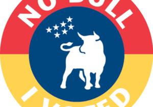 Durham County Voting Logo